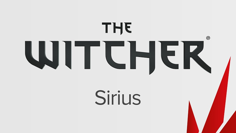 Инновационная The Witcher от создателей The Flame in the Flood будет нелинейным экшеном с кооперативом — новые подробности загадочной Sirius