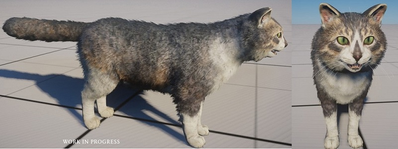 В Assassin's Creed Mirage нашли кота с «эмблемой ассасинов» на морде — у него трогательная история